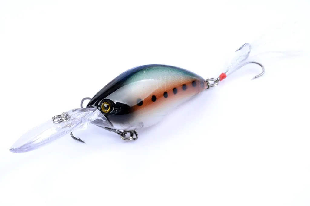 6x 11cm Popper Crank Bait Fishing Lure Lures Surface Tackle Saltwater