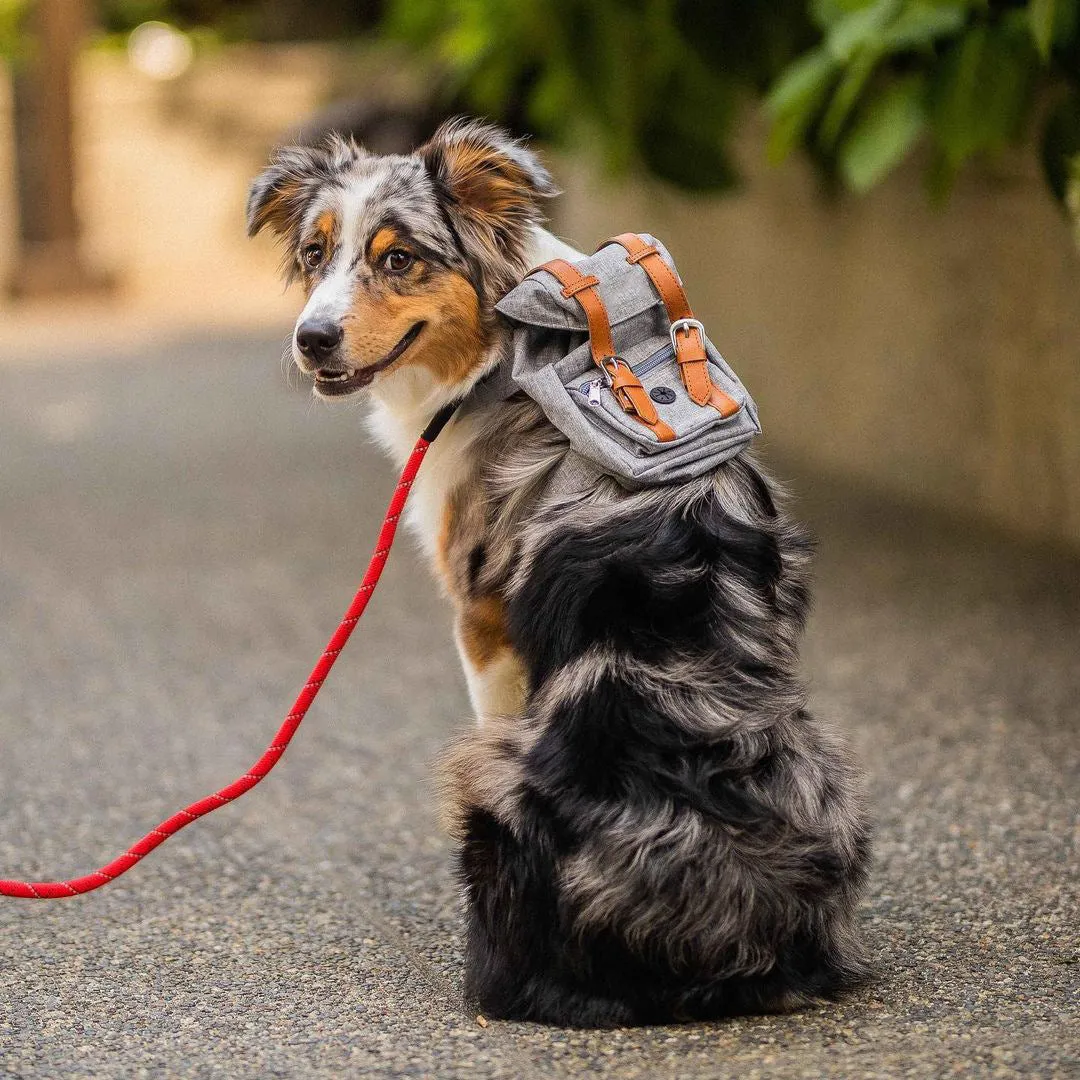 Carry All You Need On a Walk and Make Your Canine Friend Happy With This Stylish Dog Backpack