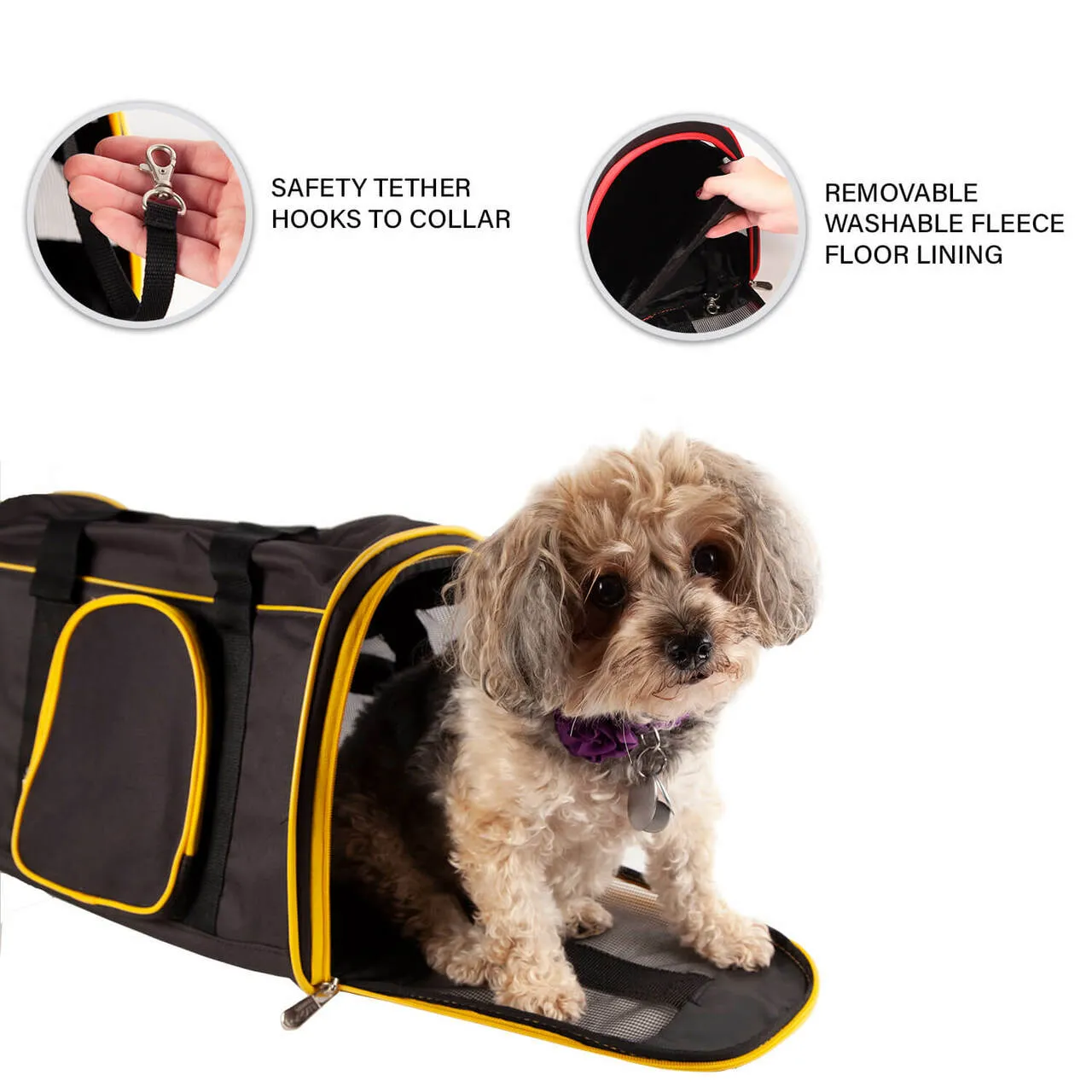 Cincinnati 16" Premium Pet Carrier