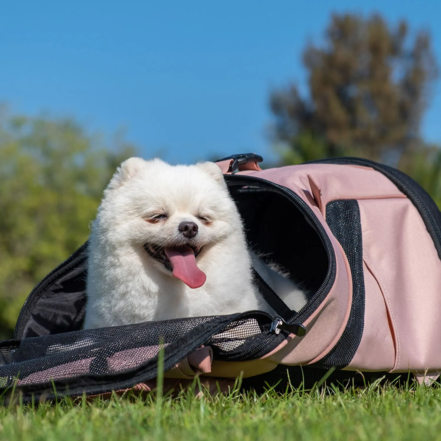 Ibiyaya Ultralight Pro Backpack Carrier (Coral Pink)