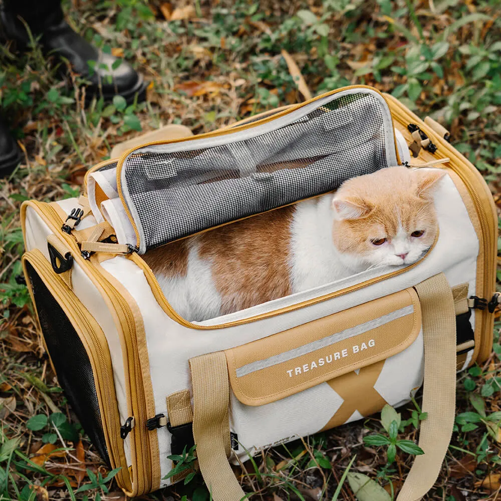 Portable Foldable Breathable Designer Pet Carrier Bag