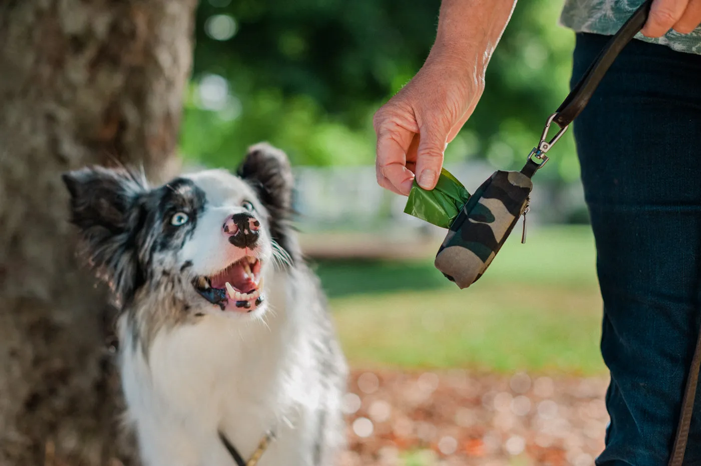 Proper Pup Poop Bag Dispenser