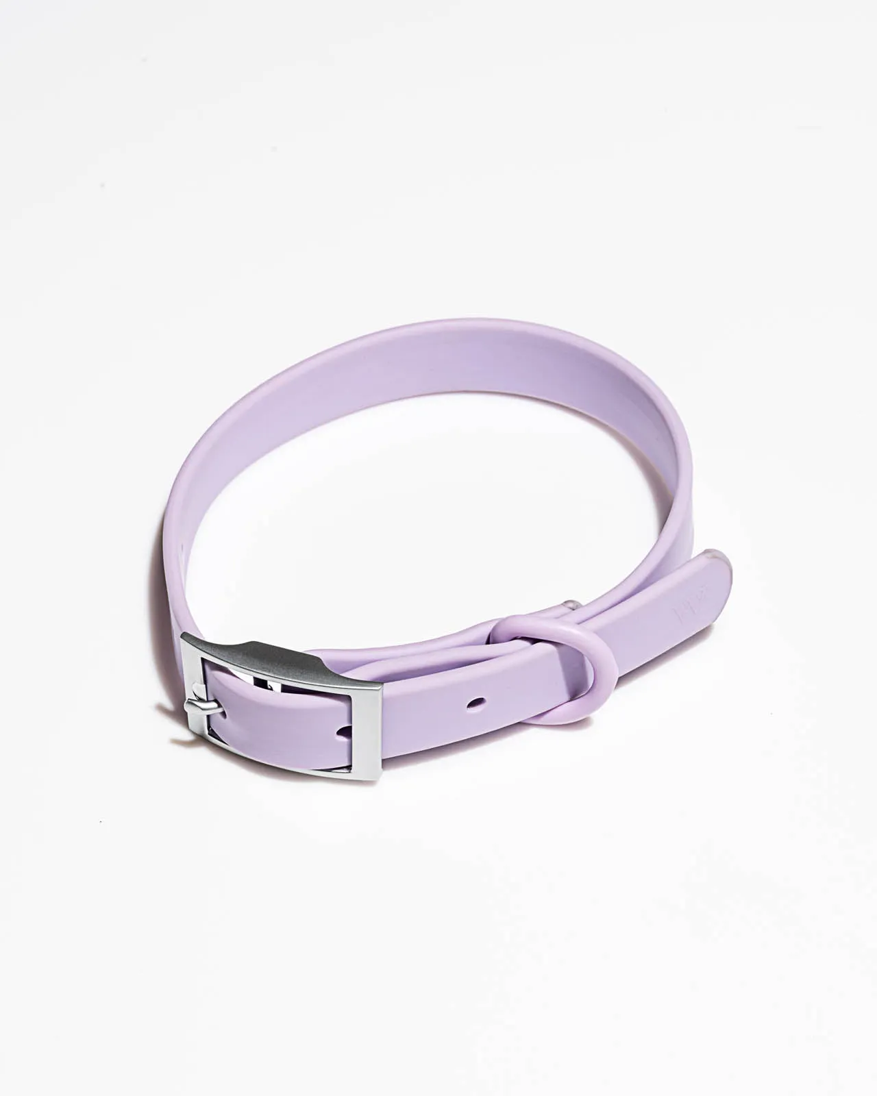 Splendid x Wild One Dog Collar