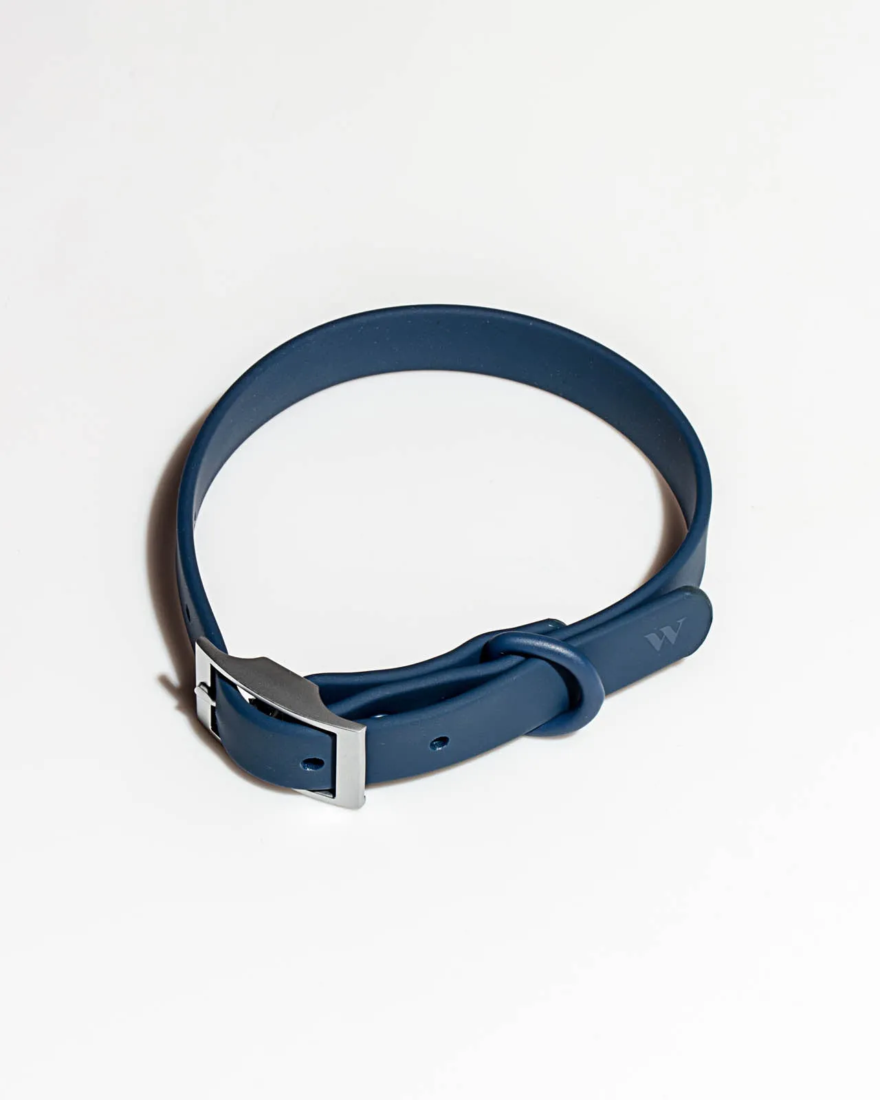 Splendid x Wild One Dog Collar