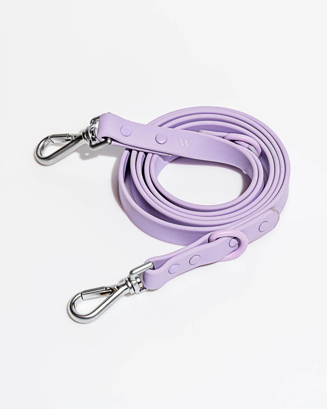 Splendid x Wild One Leash