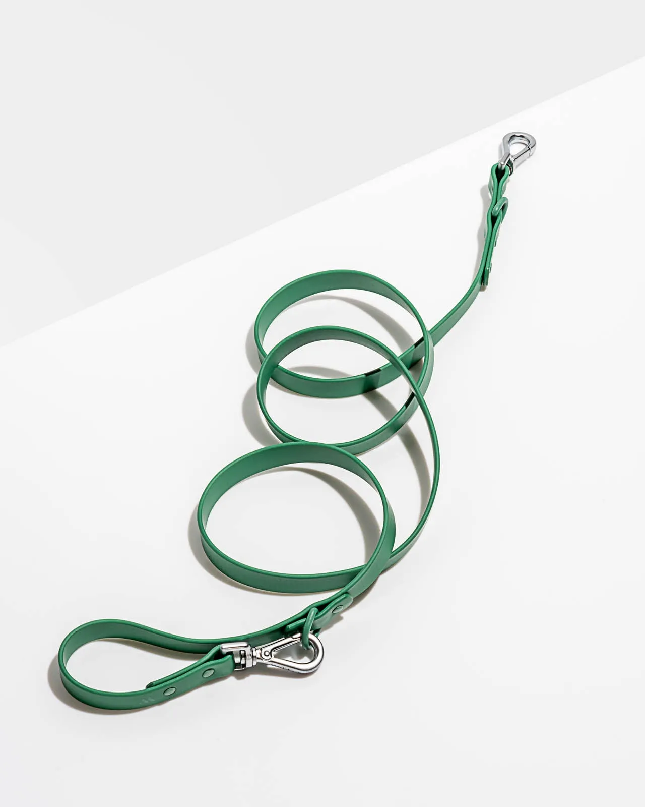 Splendid x Wild One Leash