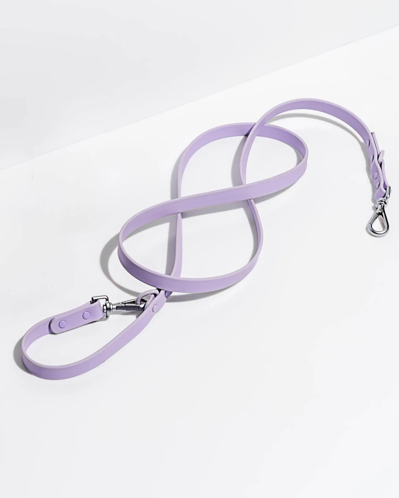 Splendid x Wild One Leash