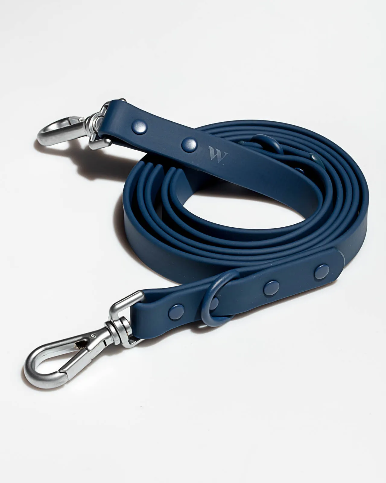 Splendid x Wild One Leash