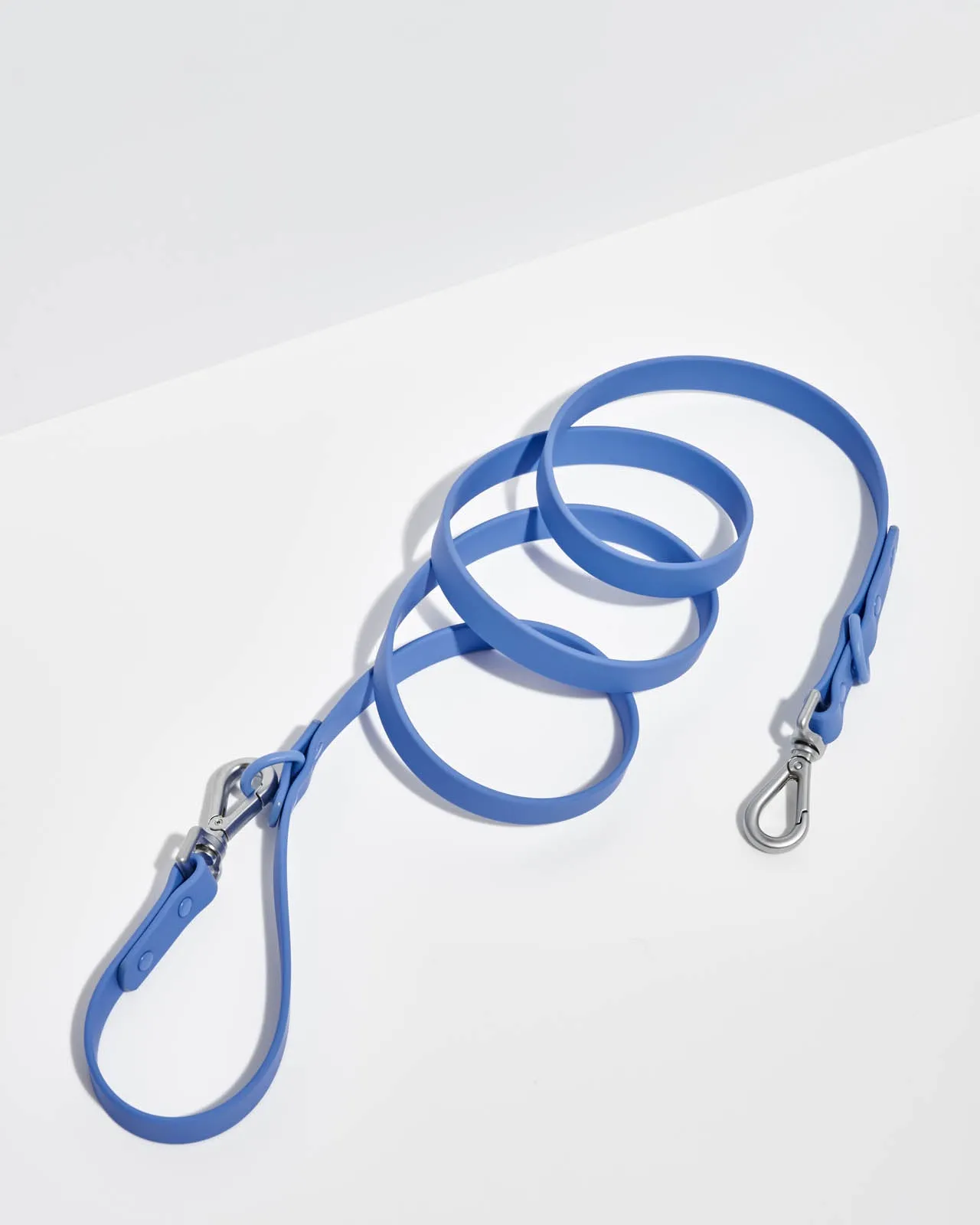 Splendid x Wild One Leash